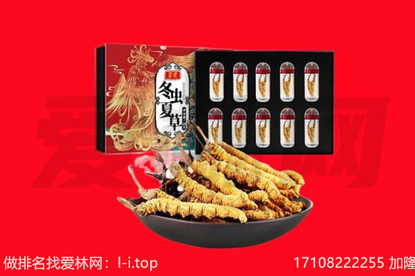 石家庄栾城区回收虫草.jpg